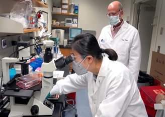 Comet tails and a Trojan horse: One laboratory's hunt for a COVID-19 vaccine
